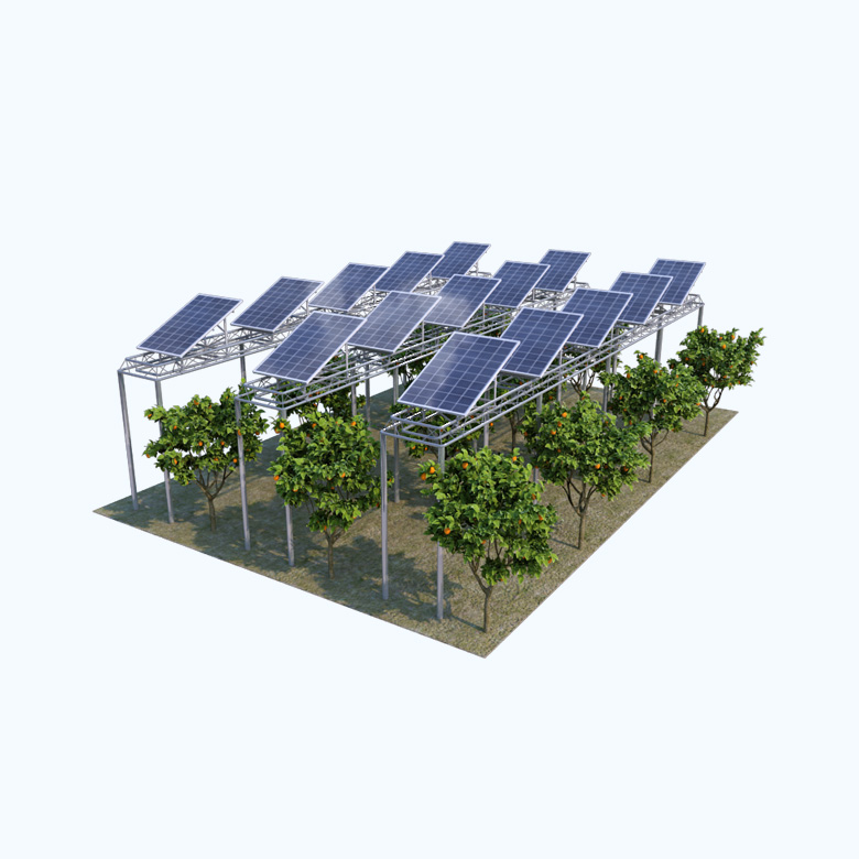 חזון שילוב חקלאות בר-קיימא עם אנרגיה סולארית